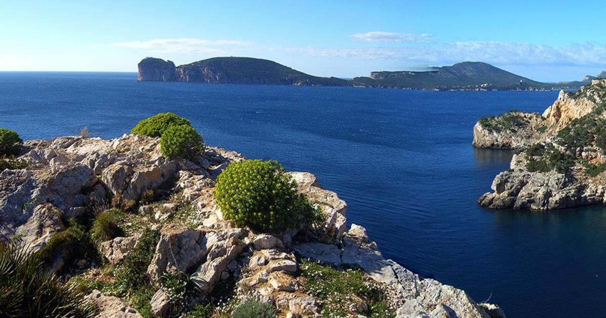 A Casa Di Mamma Apartment Alghero Ngoại thất bức ảnh