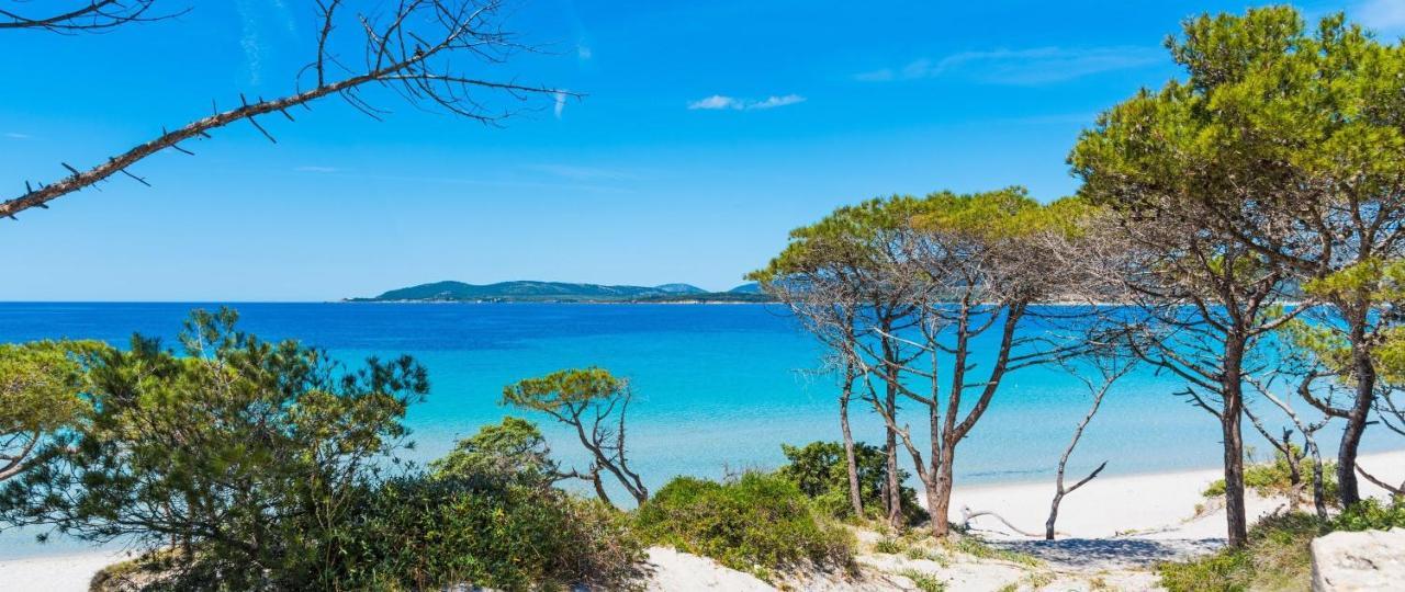 A Casa Di Mamma Apartment Alghero Ngoại thất bức ảnh